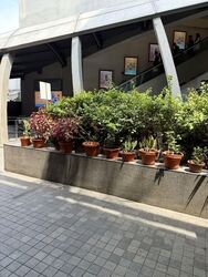 Clementi Avenue 3 (D5), Shop House #545514141